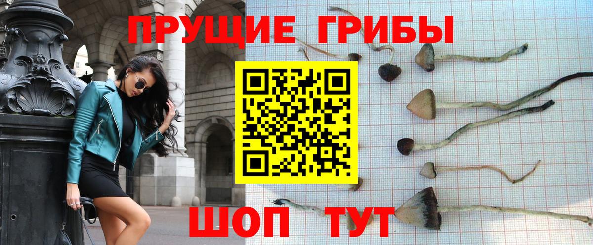 Галлюциногенные грибы мухоморы  Псилоцибиновые грибы Psilocybine cubensis  Ирбит  Вход с VPN 